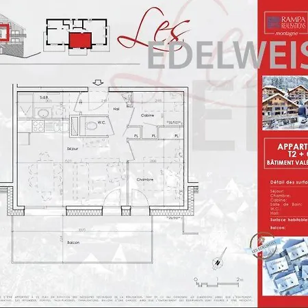 Edelweiss *